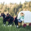 The Queen's Treasures 18 In Doll Covered Prairie Wagon/Sleigh And 2 Horses